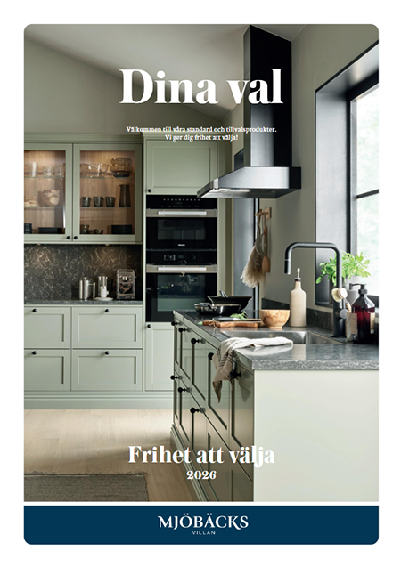 dina_val_omslag.webp